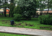 O parque do Pasatempo sufriu diversos danos nas zonas verdes como consecuencia da presenza de xabarís