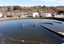 O Concello analizará a presenza da Covid-19 nas augas residuais