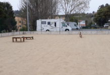 Traballos de mantemento na área canina