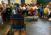 Vendimia infantil. Galería de imaxes