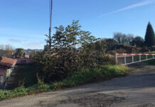 O Concello creará preto de 70 hortos urbanos na zona de Bellavista a través dun proxecto que servirá para rexenerar a contorna do centro de formación