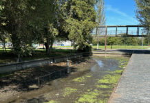 O Concello inicia os traballos de rexeneración dos estanques da parte baixa do parque do Pasatempo