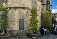 Novas xardineiras na praza da Constitución