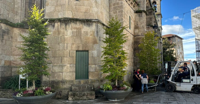 arboles jardineras plaza