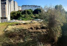 O Concello roza leiras en pleno centro urbano que levaban anos sen limpar e estenderá o programa a terreos da zona rural