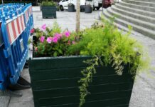 O Concello denuncia diversos actos vandálicos