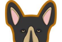 Betanzos repite a campaña de concienciación para evitar os excrementos de animais na rúa
