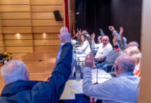 Os maiores de Betanzos propoñen no seu “pleno” un Centro de Día; actividades para os centro sociais de maiores e a creación dun Consello Municipal de Maiores. Galería de imaxes.