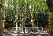 Labores de limpeza de Os Caneiros tras a celebración da primeira xira.